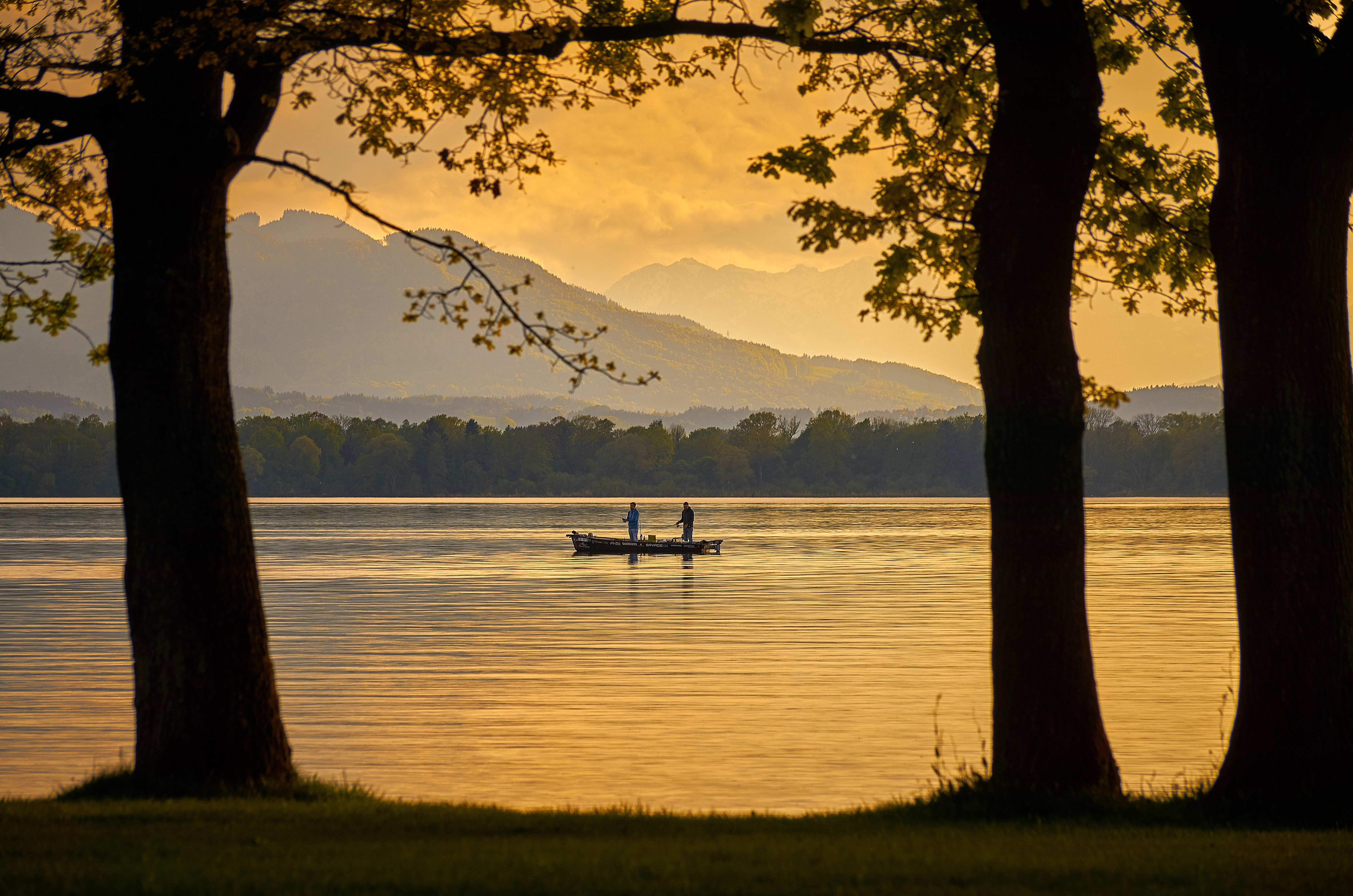 A moment of excellence capturing love, kindness, and peace